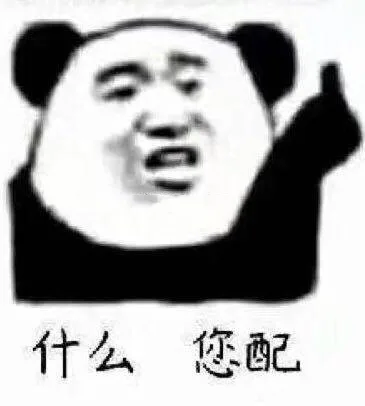 什么您配（什么您配）