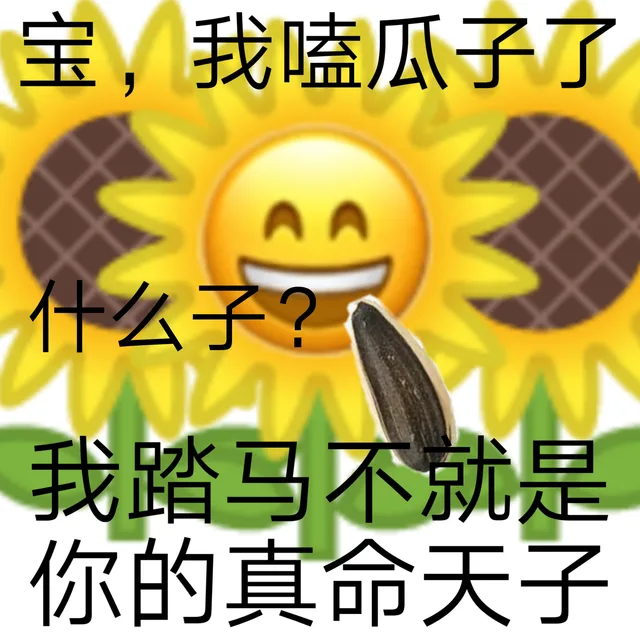 宝,我嗑瓜子了什么子?我踏马不就是你的真命天子（宝,我嗑瓜子了什么子?我踏马不就是你的真命天子）