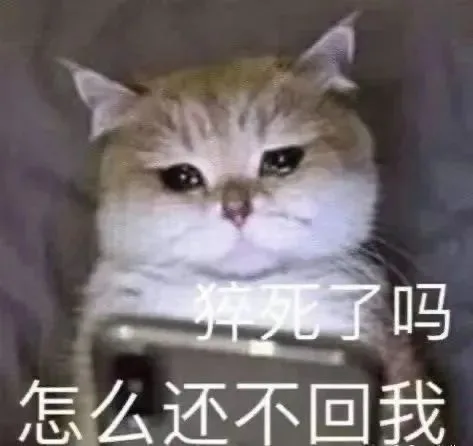 猝死了吗怎么还不回我（猝死了吗怎么还不回我）