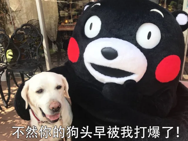 不然你的狗头早被我打爆了!