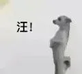 汪！（汪！）
