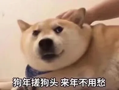 狗年搓狗头，来年不用愁