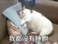 我都没有睡鲍（我都没有睡鲍）