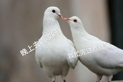 晚我忙完这点就来