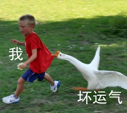 坏运气把我安排得明明白白（鸭鸭咬人）