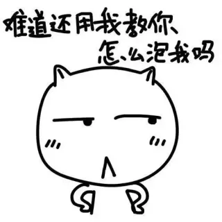 难道还用我教你怎么泡我吗？