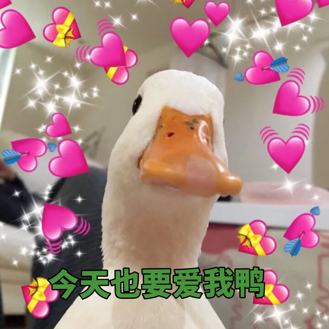 斗图表情包精选-2018/6/2表情包