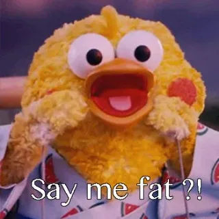 I fat i happy. You bb what ？！ _鹦鹉兄弟_英语_胖_怼人表情表情包