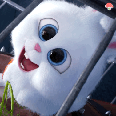 眨眼（兔子表情包）
