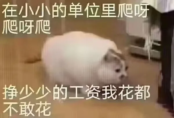 在小小的单位里爬呀爬呀爬挣少少的工资我花都不敢花（在小小的单位里爬呀爬呀爬挣少少的工资我花都不敢花）
