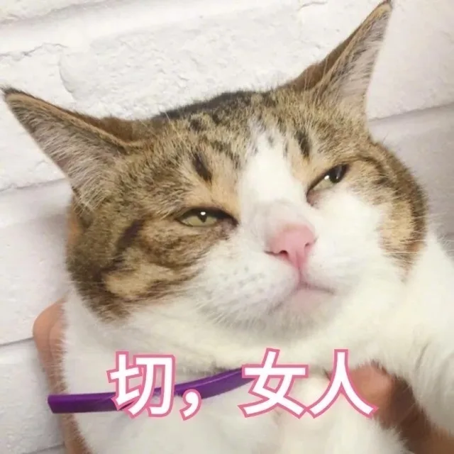 猫咪情侣头像