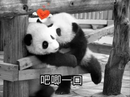 吧唧一口