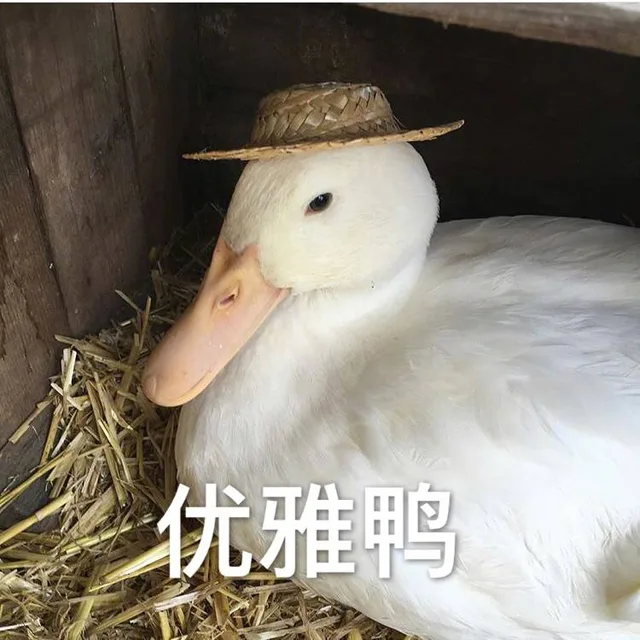 优雅鸭（优雅鸭）