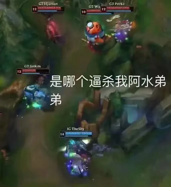 是哪个逼杀我啊水弟弟（是哪个逼杀我啊水弟弟）