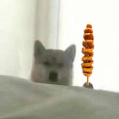 doge狗狗拿烤串动图表情包