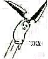二刀流（二刀流）