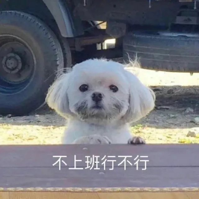不上班行不行（不上班行不行）