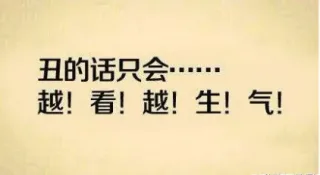 丑的话只会...越看越生气