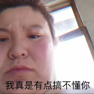 我真是有点搞不懂你（郭老师表情包）