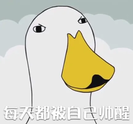 鸭子装逼表情_鸭子