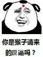 你是猴子请来的逗逼吗（你是猴子请来的逗逼吗）