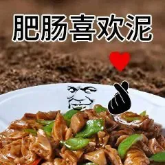 肥肠喜欢泥