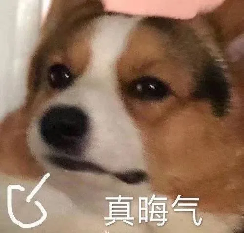 真晦气（真晦气）