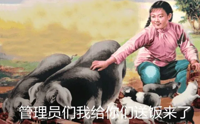 管理员们，我给你们送饭来了（管理员们，我给你们送饭来了）