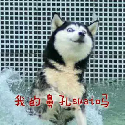 我的鼻孔 suai 吗？（我的鼻孔 suai 吗？）