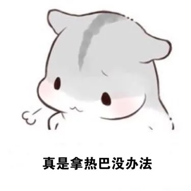 真是拿热巴没办法（真是拿热巴没办法）