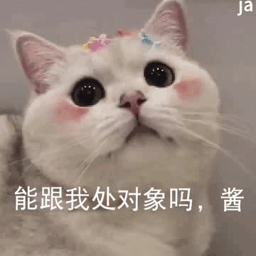 能跟我处对象吗 酱（能跟我处对象吗 酱）