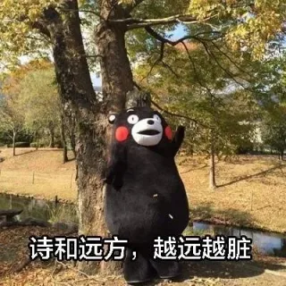 诗和远方，越远越脏