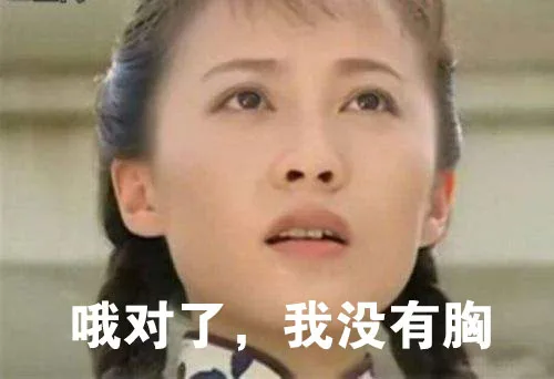 哦对了，我没有胸