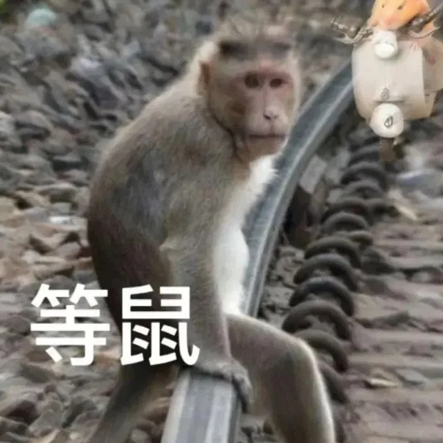 等鼠(鼠鼠表情包)（等鼠(鼠鼠表情包)）