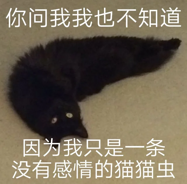 你问我我也不知道因为我只是一条没有感情的猫猫虫