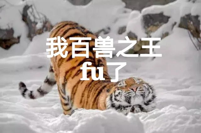 我百兽之王fu了（我百兽之王fu了）