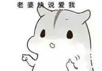 妻奴专属表情包自觉收图_妻奴_老婆_ㄇㄚˊ几兔_撩妹撩汉表情包