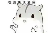 妻奴专属表情包自觉收图_妻奴_老婆_ㄇㄚˊ几兔_撩妹撩汉