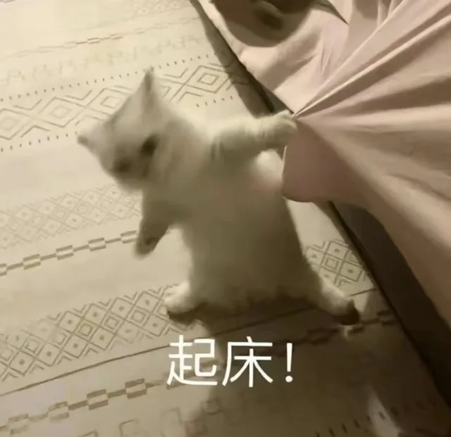 起床！（起床！）