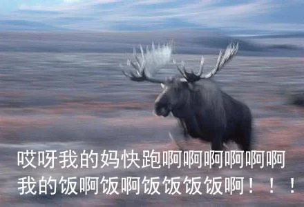 哎呀我的妈快跑啊啊啊，我的饭啊啊饭啊啊！