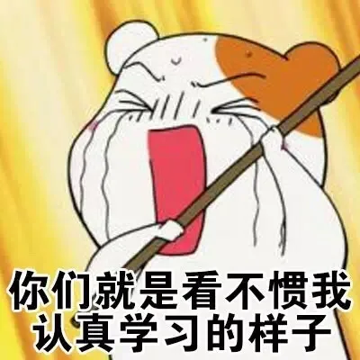 你们就是看不惯我，认真学习的样子