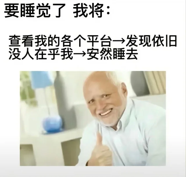 要睡觉了我将：查看我的各个平台→发现依旧没人在乎我→安然睡去（要睡觉了我将：查看我的各个平台→发现依旧没人在乎我→安然睡去）
