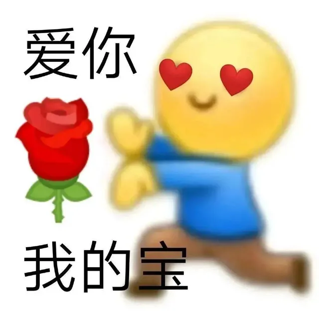 爱你我的宝（爱你我的宝）