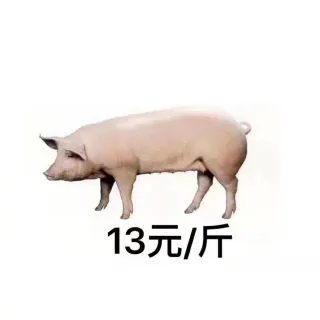 从2017到2019表情包