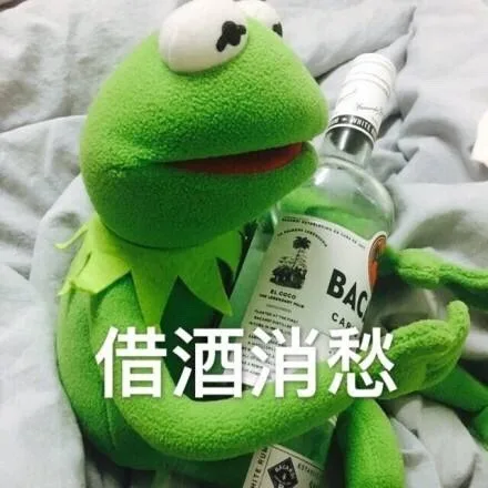 借酒消愁（借酒消愁）