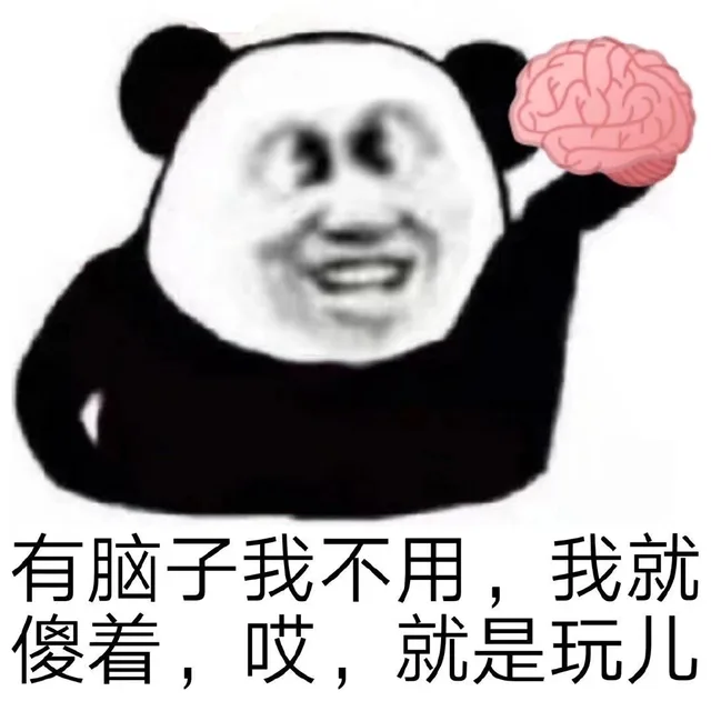 有脑子我不用,我就我就傻着,哎,就是玩儿