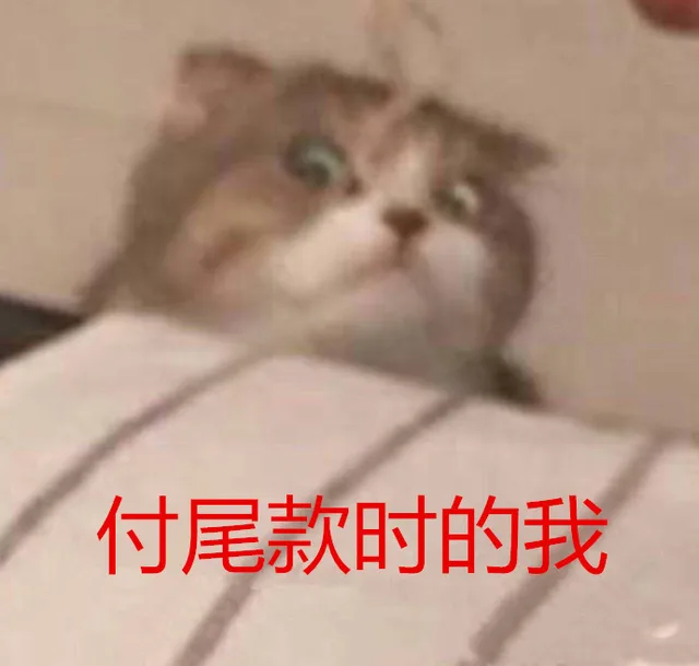 付尾款时的我（惊呆的猫咪）