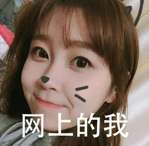 网上的我 VS 现实的我_内涵表情包