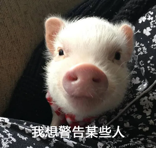 我想警告某些人... _猪_天冷_萌萌哒