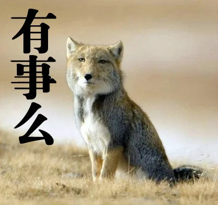 有事么（有事么）